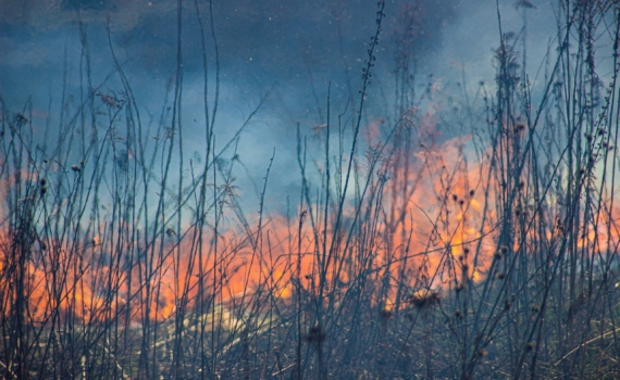 Пресняков живет в Лос-Анджелесе уже несколько лет после отъезда из России Пресняков живет в Лос-Анджелесе уже несколько лет после отъезда из России