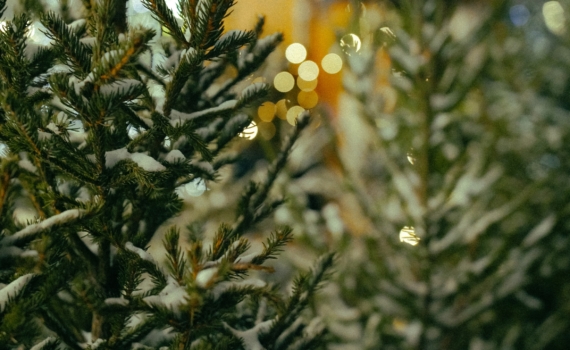 Дизайнеры знают секрет: главный тренд украшения дома на Новый год-2026 и как его воплотить