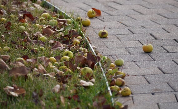 14 ноября — Осенние кузьминки: что можно и нельзя делать, чтобы не навлечь беды