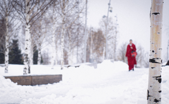 7 научно-обоснованных причин выйти из дома в феврале: перезагрузка, общение с природой и не только 7 научно-обоснованных причин выйти из дома в феврале: перезагрузка, общение с природой и не только