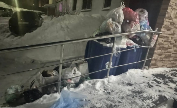 Почему в снегопады вывоз ТКО становится сложнее, чем кажется Почему в снегопады вывоз ТКО становится сложнее, чем кажется